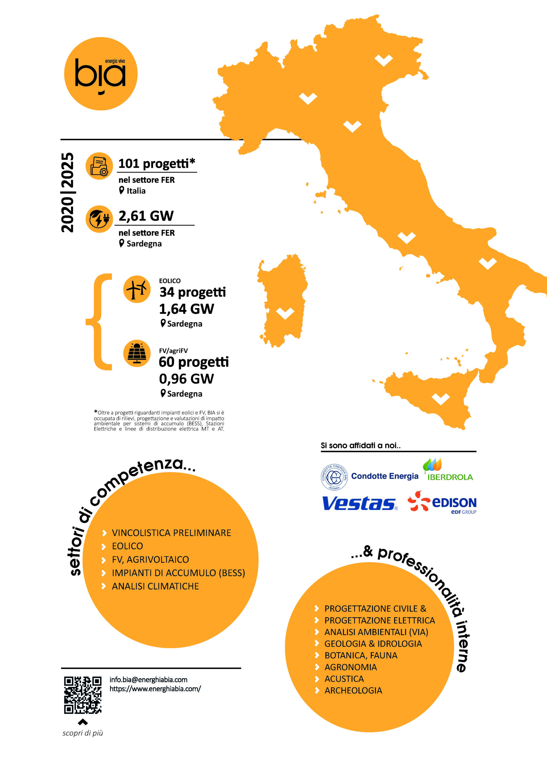 BIA Energy Report 2020-2025