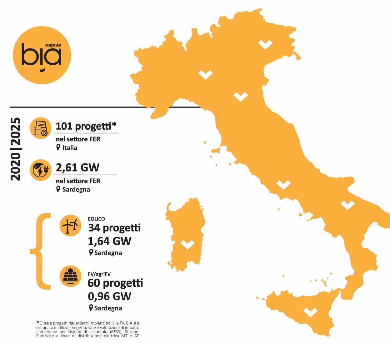 BIA Energy Report 2020-2025