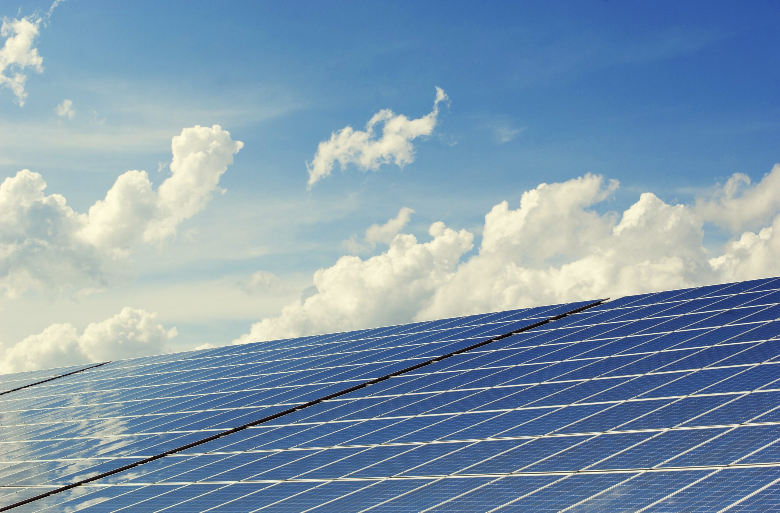agrivoltaico e agricoltura nella Nurra (Sardegna)